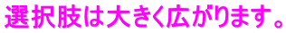 選択肢は大きく広がります。