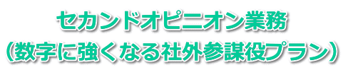 セカンドオピニオン業務 （数字に強くなる社外参謀役プラン）